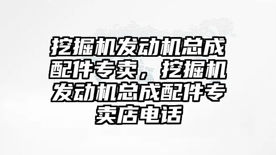 挖掘機發(fā)動機總成配件專賣，挖掘機發(fā)動機總成配件專賣店電話