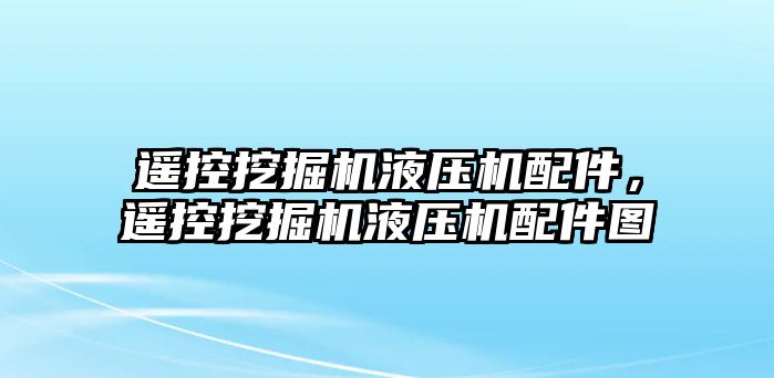 遙控挖掘機液壓機配件，遙控挖掘機液壓機配件圖