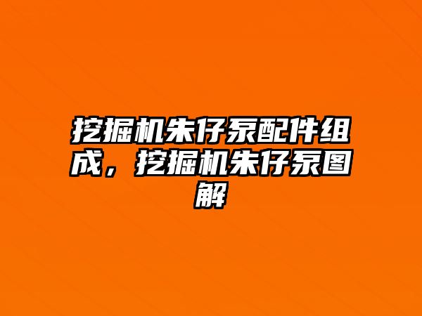 挖掘機朱仔泵配件組成，挖掘機朱仔泵圖解