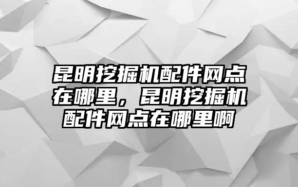 昆明挖掘機(jī)配件網(wǎng)點(diǎn)在哪里，昆明挖掘機(jī)配件網(wǎng)點(diǎn)在哪里啊