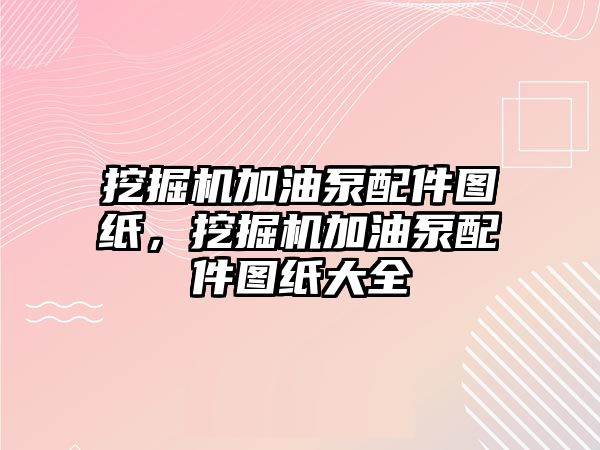 挖掘機加油泵配件圖紙，挖掘機加油泵配件圖紙大全