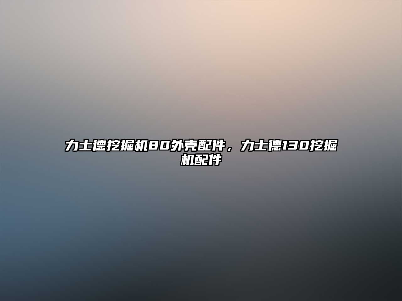 力士德挖掘機80外殼配件，力士德130挖掘機配件