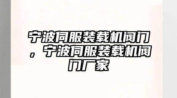 寧波伺服裝載機(jī)閥門，寧波伺服裝載機(jī)閥門廠家