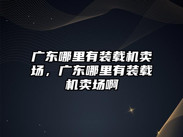 廣東哪里有裝載機賣場，廣東哪里有裝載機賣場啊