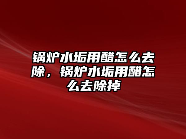 鍋爐水垢用醋怎么去除，鍋爐水垢用醋怎么去除掉