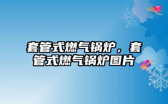 套管式燃?xì)忮仩t，套管式燃?xì)忮仩t圖片