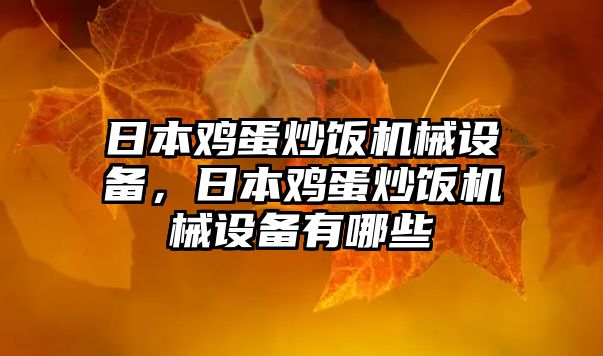 日本雞蛋炒飯機械設備，日本雞蛋炒飯機械設備有哪些