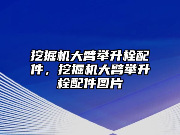 挖掘機大臂舉升栓配件，挖掘機大臂舉升栓配件圖片