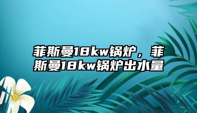 菲斯曼18kw鍋爐，菲斯曼18kw鍋爐出水量