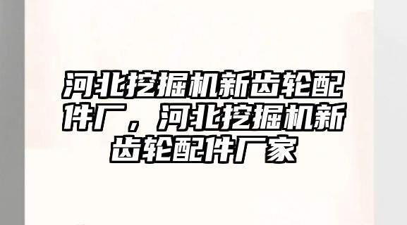 河北挖掘機新齒輪配件廠，河北挖掘機新齒輪配件廠家