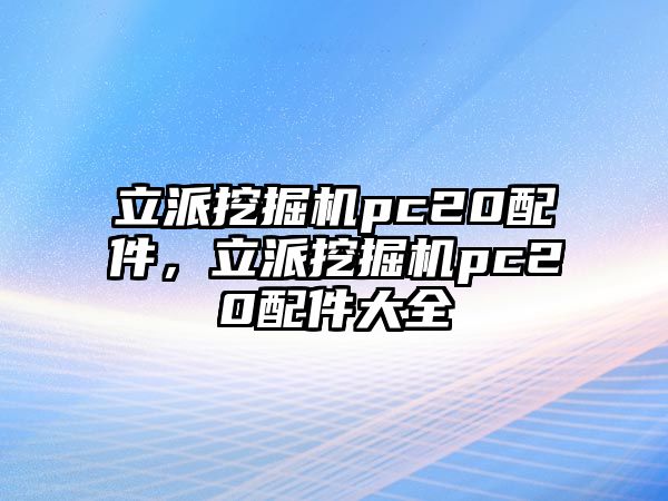 立派挖掘機(jī)pc20配件，立派挖掘機(jī)pc20配件大全