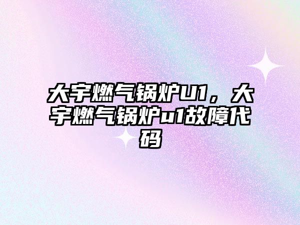 大宇燃?xì)忮仩tU1，大宇燃?xì)忮仩tu1故障代碼