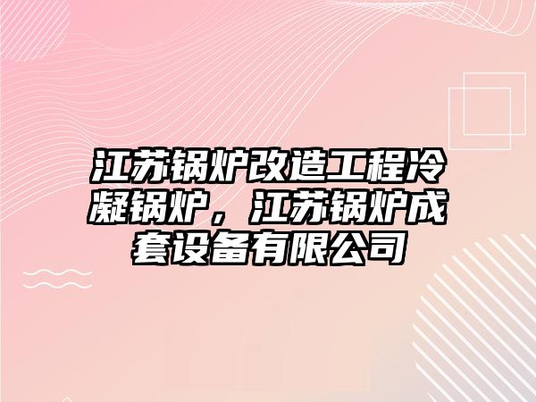 江蘇鍋爐改造工程冷凝鍋爐，江蘇鍋爐成套設(shè)備有限公司