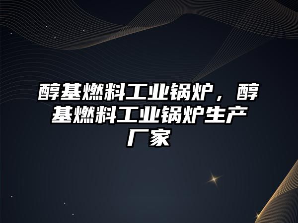 醇基燃料工業(yè)鍋爐，醇基燃料工業(yè)鍋爐生產(chǎn)廠家