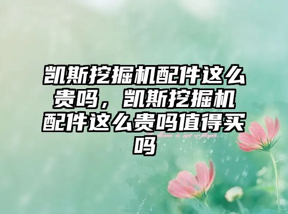 凱斯挖掘機配件這么貴嗎，凱斯挖掘機配件這么貴嗎值得買嗎