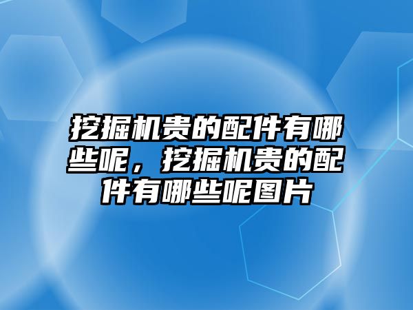 挖掘機(jī)貴的配件有哪些呢，挖掘機(jī)貴的配件有哪些呢圖片