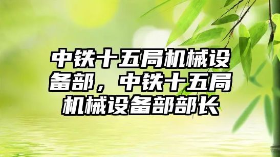 中鐵十五局機械設備部，中鐵十五局機械設備部部長