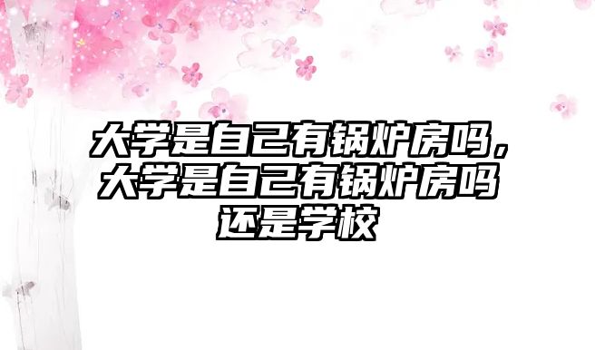 大學(xué)是自己有鍋爐房嗎，大學(xué)是自己有鍋爐房嗎還是學(xué)校