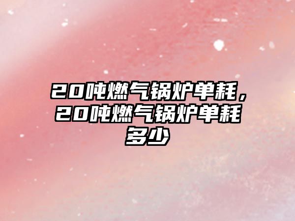 20噸燃?xì)忮仩t單耗，20噸燃?xì)忮仩t單耗多少