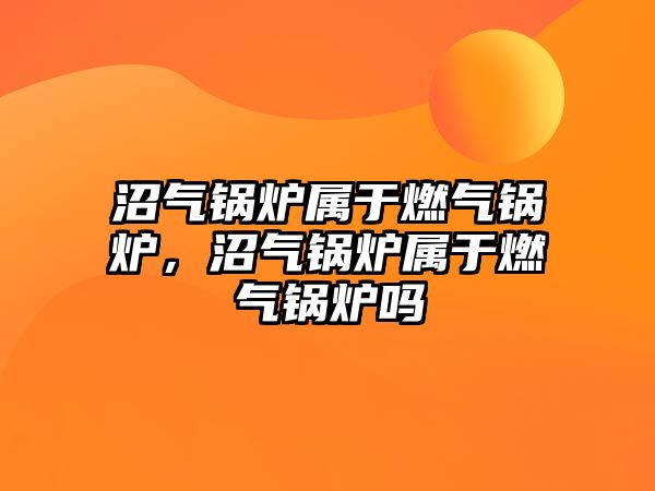 沼氣鍋爐屬于燃?xì)忮仩t，沼氣鍋爐屬于燃?xì)忮仩t嗎