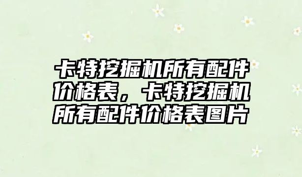 卡特挖掘機所有配件價格表，卡特挖掘機所有配件價格表圖片