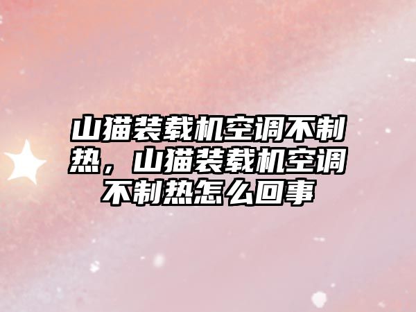 山貓裝載機空調(diào)不制熱，山貓裝載機空調(diào)不制熱怎么回事