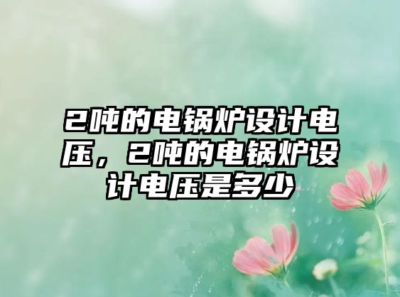 2噸的電鍋爐設(shè)計(jì)電壓，2噸的電鍋爐設(shè)計(jì)電壓是多少