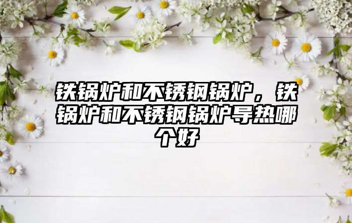 鐵鍋爐和不銹鋼鍋爐，鐵鍋爐和不銹鋼鍋爐導(dǎo)熱哪個好