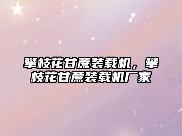 攀枝花甘蔗裝載機，攀枝花甘蔗裝載機廠家