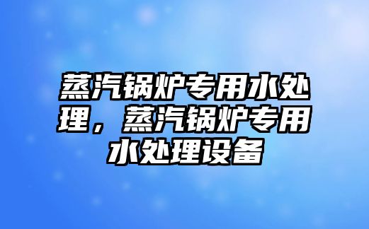 蒸汽鍋爐專用水處理，蒸汽鍋爐專用水處理設(shè)備