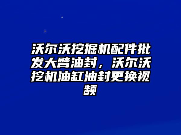 沃爾沃挖掘機(jī)配件批發(fā)大臂油封，沃爾沃挖機(jī)油缸油封更換視頻