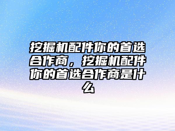 挖掘機配件你的首選合作商，挖掘機配件你的首選合作商是什么