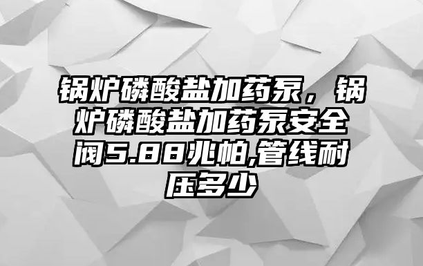 鍋爐磷酸鹽加藥泵，鍋爐磷酸鹽加藥泵安全閥5.88兆帕,管線耐壓多少