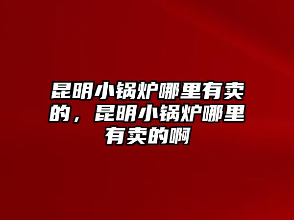 昆明小鍋爐哪里有賣的，昆明小鍋爐哪里有賣的啊