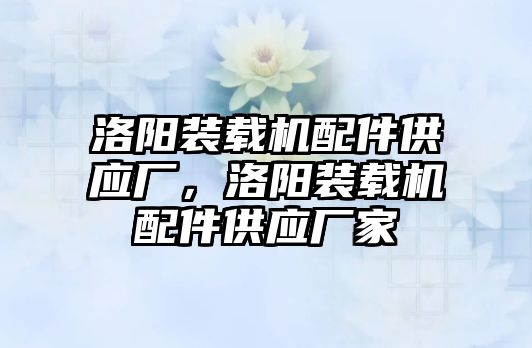 洛陽裝載機(jī)配件供應(yīng)廠，洛陽裝載機(jī)配件供應(yīng)廠家