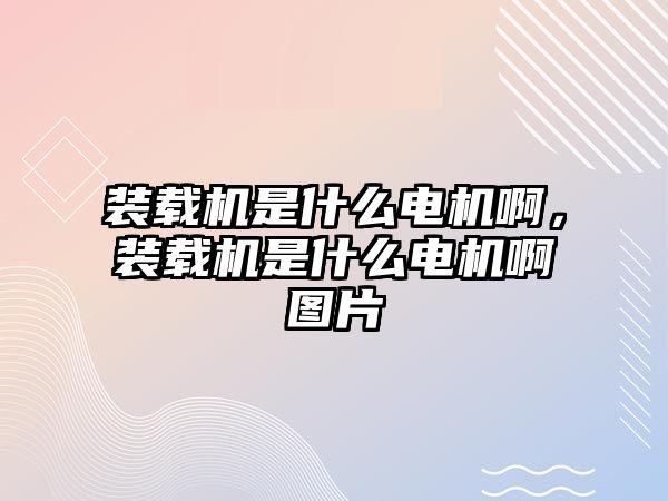 裝載機是什么電機啊，裝載機是什么電機啊圖片