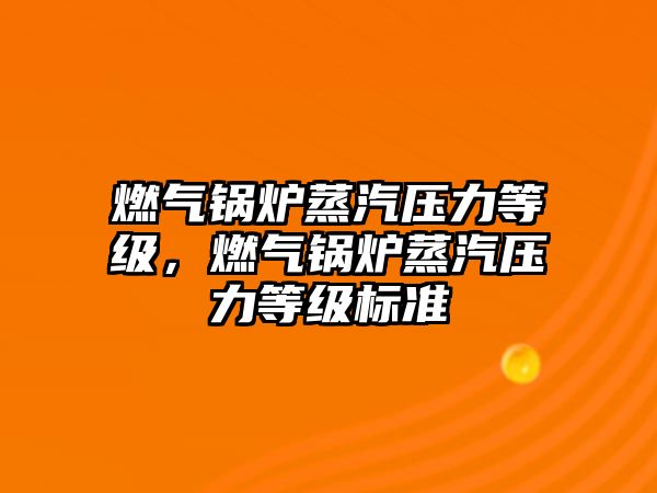 燃?xì)忮仩t蒸汽壓力等級，燃?xì)忮仩t蒸汽壓力等級標(biāo)準(zhǔn)