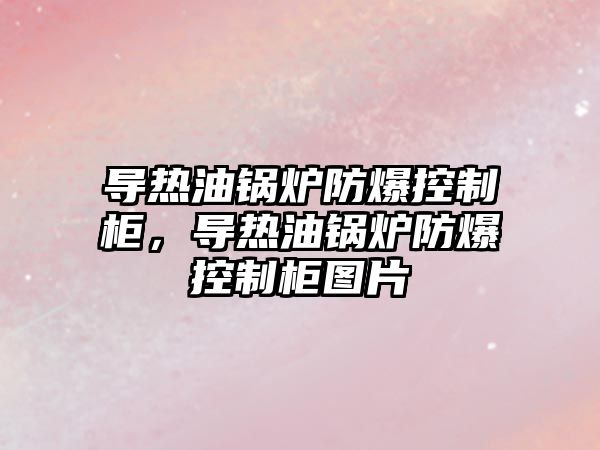 導熱油鍋爐防爆控制柜，導熱油鍋爐防爆控制柜圖片