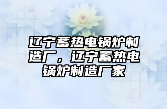 遼寧蓄熱電鍋爐制造廠，遼寧蓄熱電鍋爐制造廠家