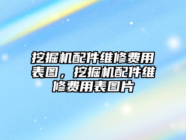 挖掘機(jī)配件維修費(fèi)用表圖，挖掘機(jī)配件維修費(fèi)用表圖片