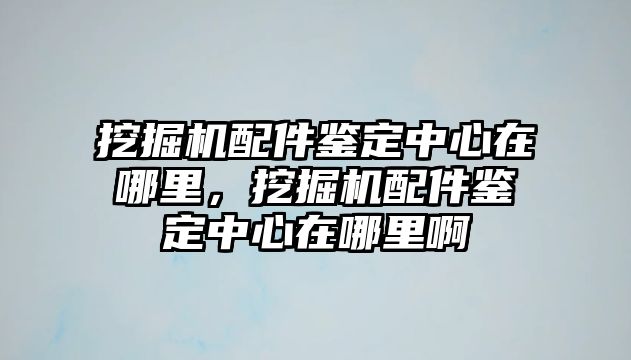 挖掘機配件鑒定中心在哪里，挖掘機配件鑒定中心在哪里啊