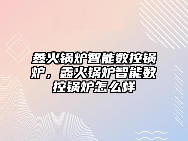 鑫火鍋爐智能數(shù)控鍋爐，鑫火鍋爐智能數(shù)控鍋爐怎么樣