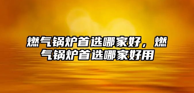 燃氣鍋爐首選哪家好，燃氣鍋爐首選哪家好用