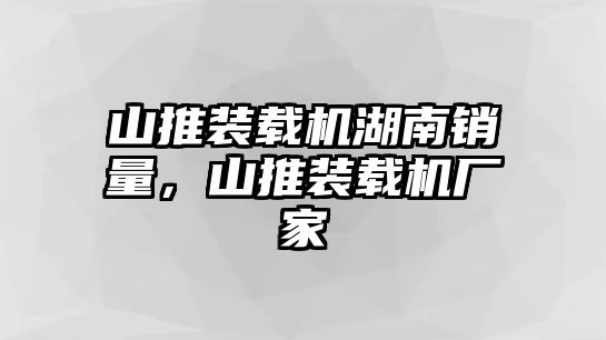 山推裝載機湖南銷量，山推裝載機廠家