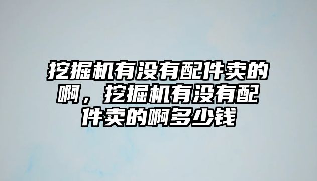 挖掘機(jī)有沒有配件賣的啊，挖掘機(jī)有沒有配件賣的啊多少錢