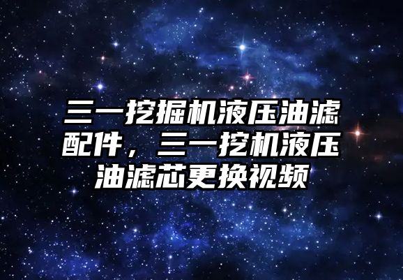 三一挖掘機(jī)液壓油濾配件，三一挖機(jī)液壓油濾芯更換視頻