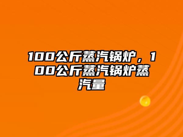 100公斤蒸汽鍋爐，100公斤蒸汽鍋爐蒸汽量