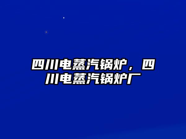 四川電蒸汽鍋爐，四川電蒸汽鍋爐廠