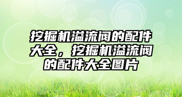 挖掘機溢流閥的配件大全，挖掘機溢流閥的配件大全圖片