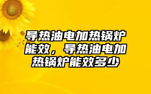 導(dǎo)熱油電加熱鍋爐能效，導(dǎo)熱油電加熱鍋爐能效多少